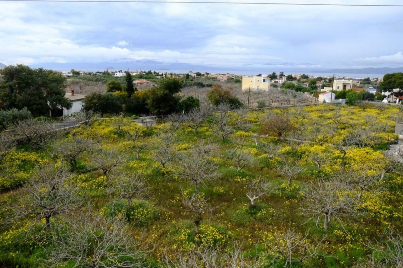 Villa Konstantinos Aegina Екстериор снимка